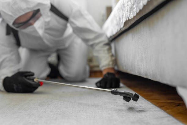 Professional Bed Bug Control technician working in Pahala, HI