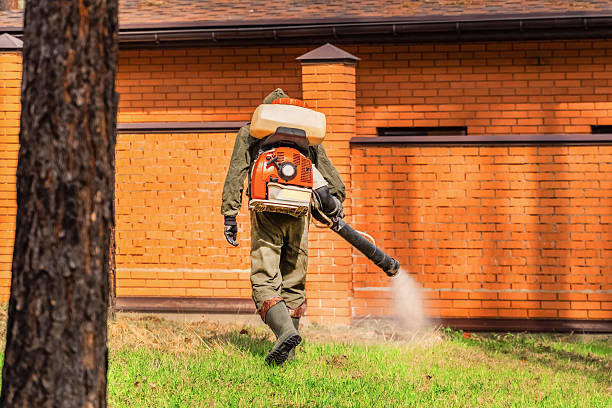 Trusted Bed Bug Control service in Pahala, HI - Nex Pest Control